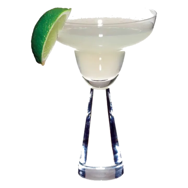 Saúco Margarita