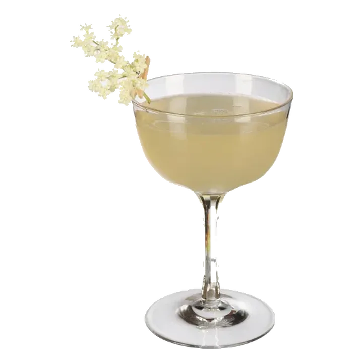 Fleur de Paradis