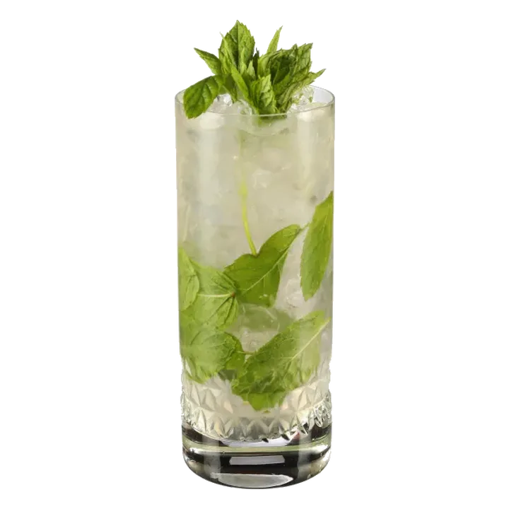 Elderflower Mojito