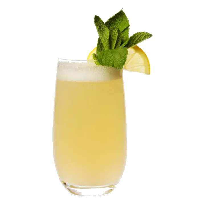 New Orleans Gin Fizz