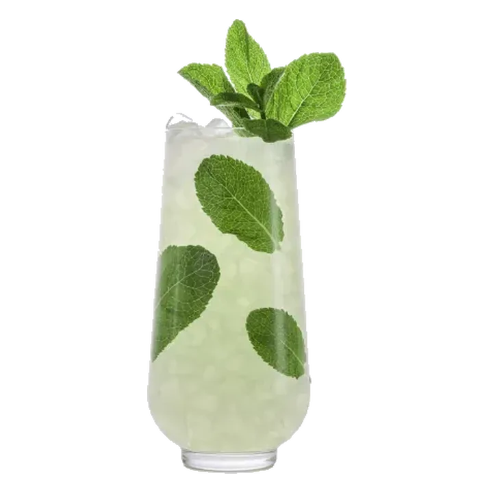 Fresh Mojito