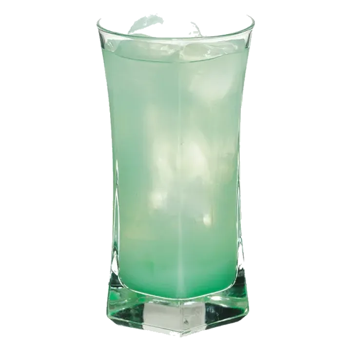 Perroquet