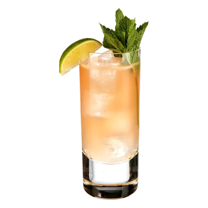 Dutch Mule