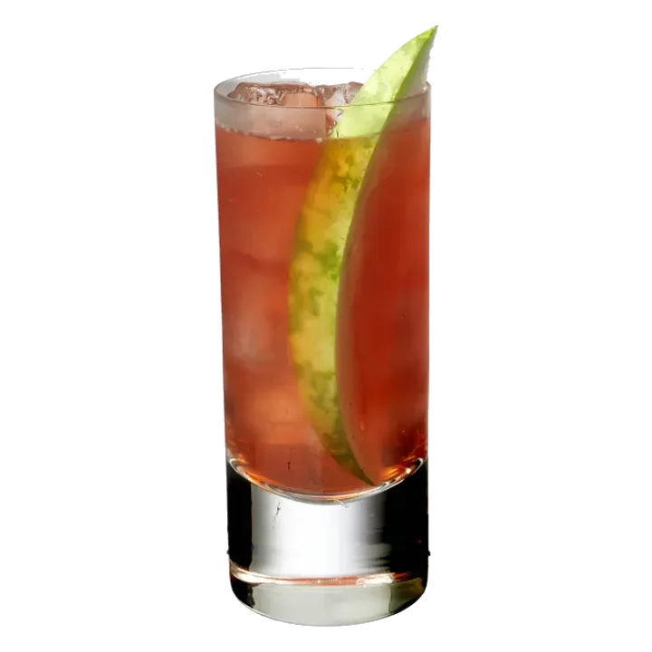 Watermelon Cooler