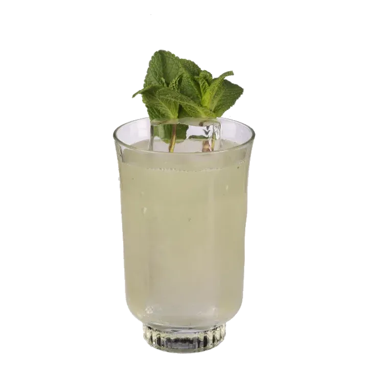Mint Fizz