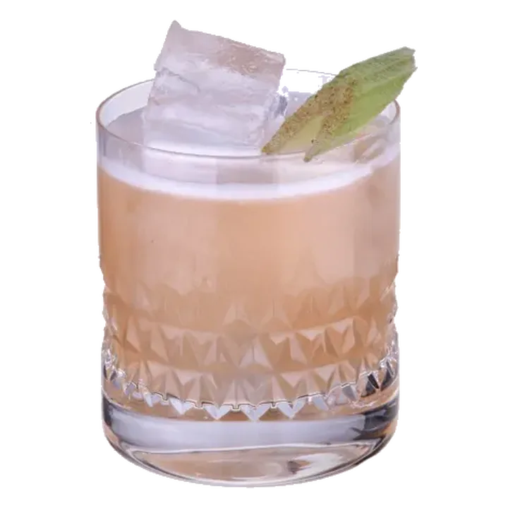 Celery Gin Sour