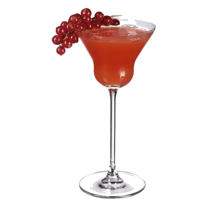 Red Rum 'Martini'
