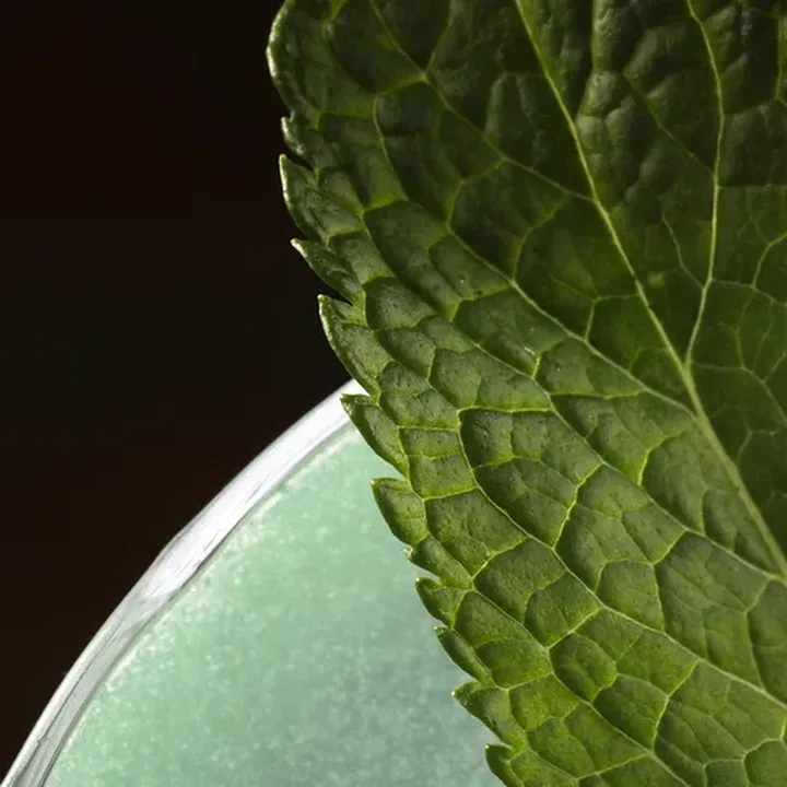 Jade Daiquiri