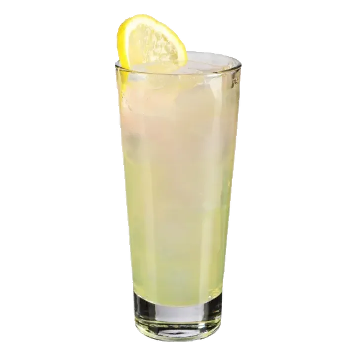 Gin Agrumi Highball