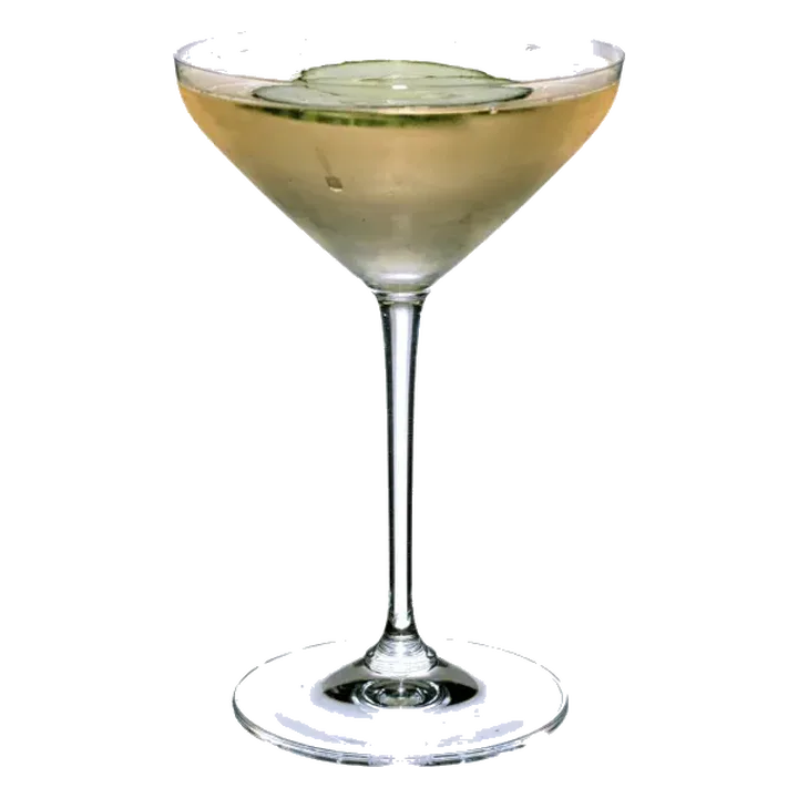 Iced Sake Martini