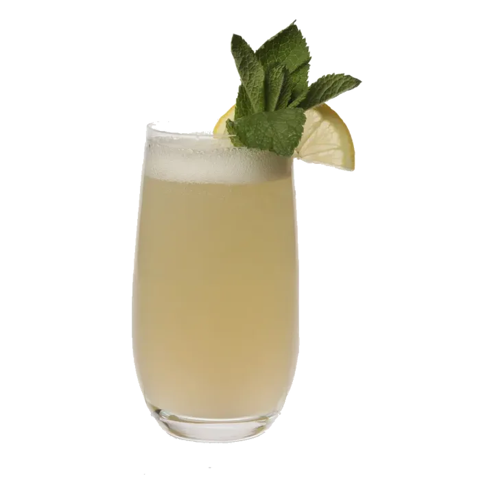 Elderflower Gin Fizz