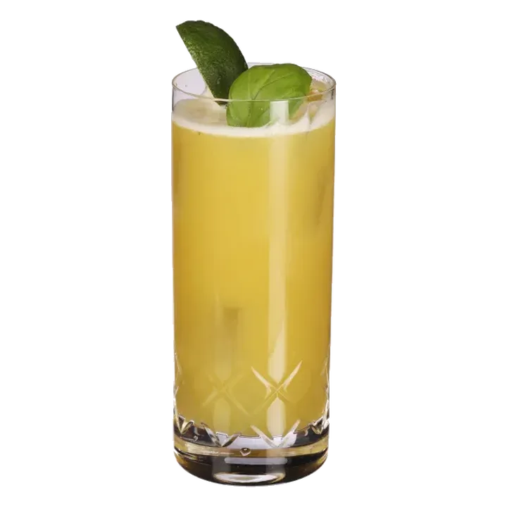 Swamp Water