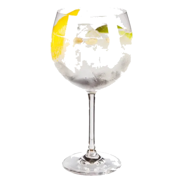 Gin Tonica