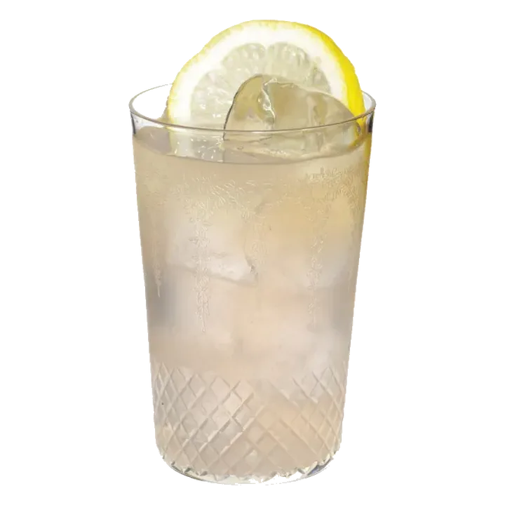Gin Punch No. 1