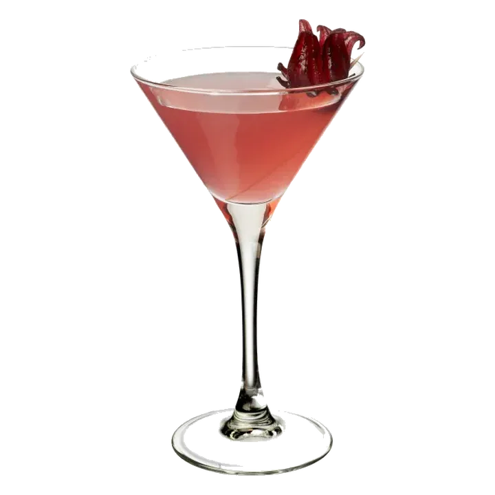 Hibiscus Margarita
