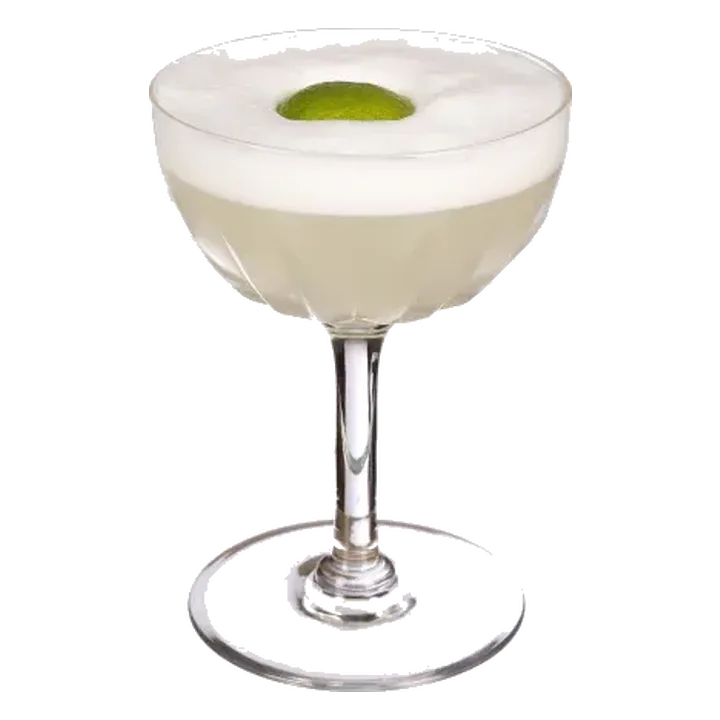 Sake Sour