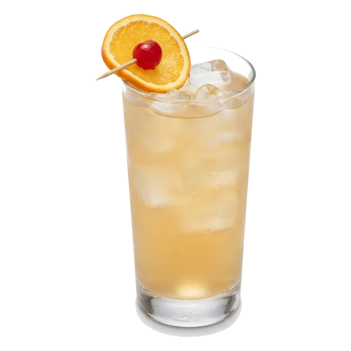 Rum Punch