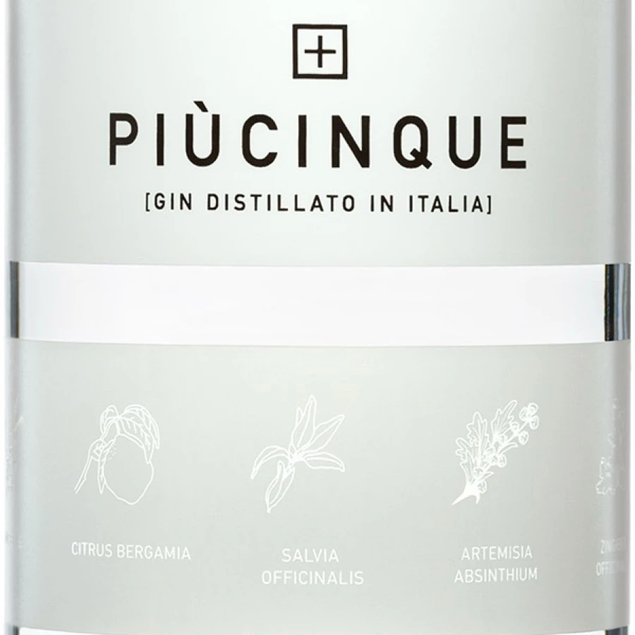 Gin Più Cinque